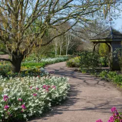 RHS Garden Hyde Hall