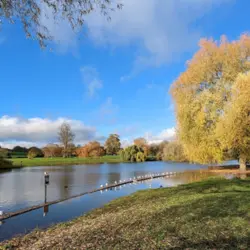 Verulamium Park